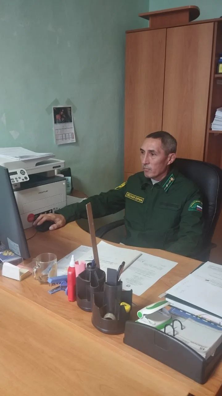 Трудоустройство за один день