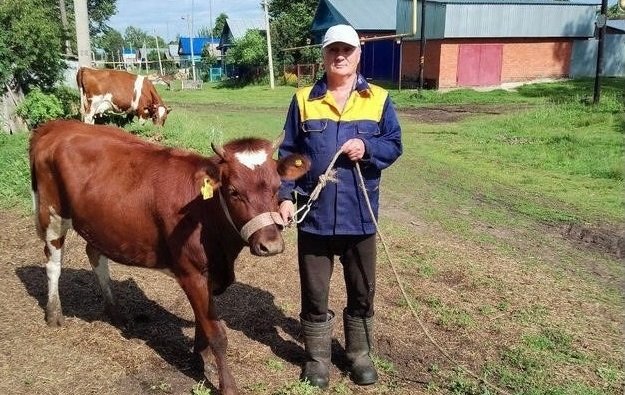 Около 200 соцконтрактов на развитие подсобного хозяйства заключили в Чувашии с помощью кадрового центра