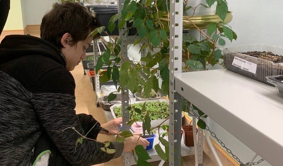 В Брянской области определены лучшие специалисты и лучший центр занятости