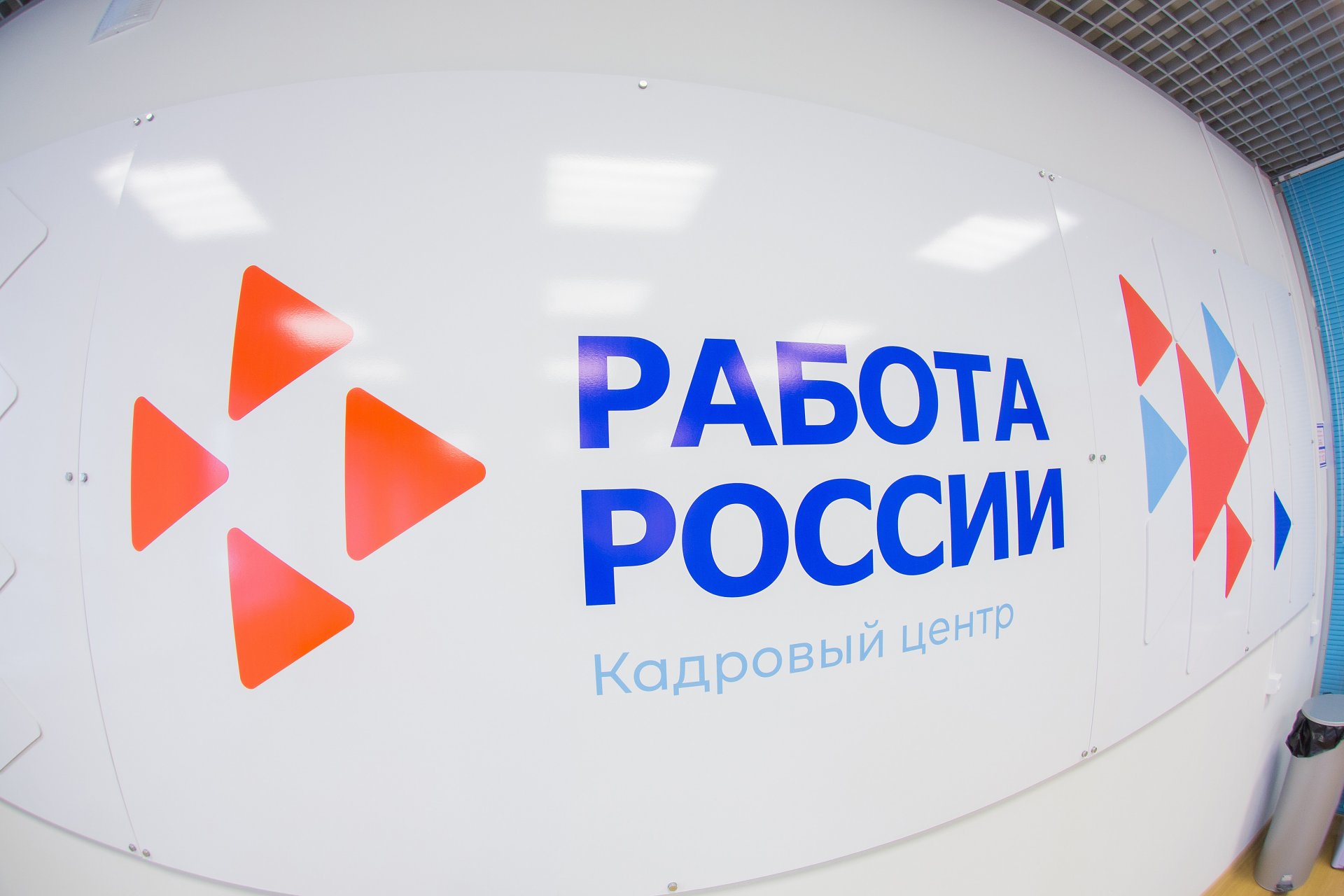 В Мурманской области началась комплексная модернизация службы занятости