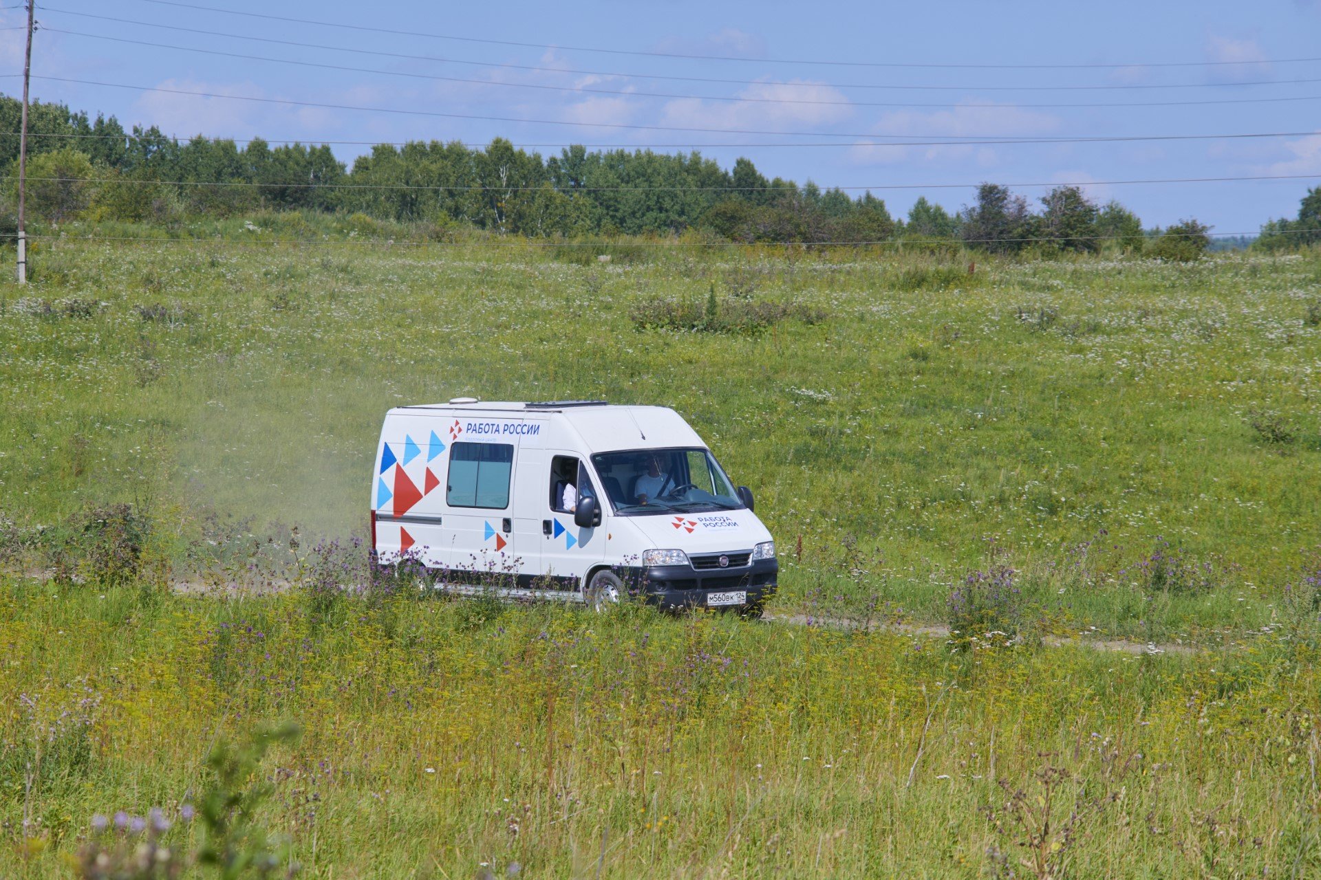 Красноярская служба занятости приняла участие во флешмобе «Молодёжь выбирает жизнь!»