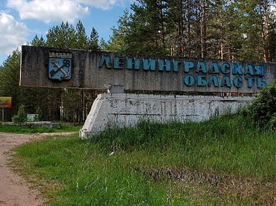 16 тысяч жителей Ленинградской области нашли новую работу в регионе в 2022 году