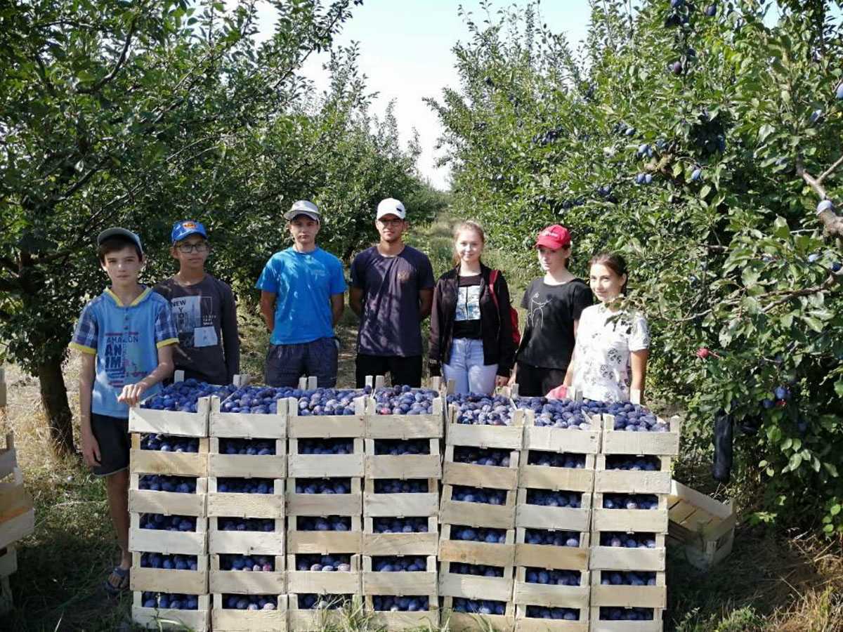 26,5 тысяч кубанских подростков приняли участие во временных работах