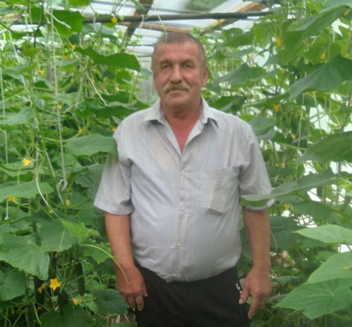 Свое дело открыть никогда не поздно