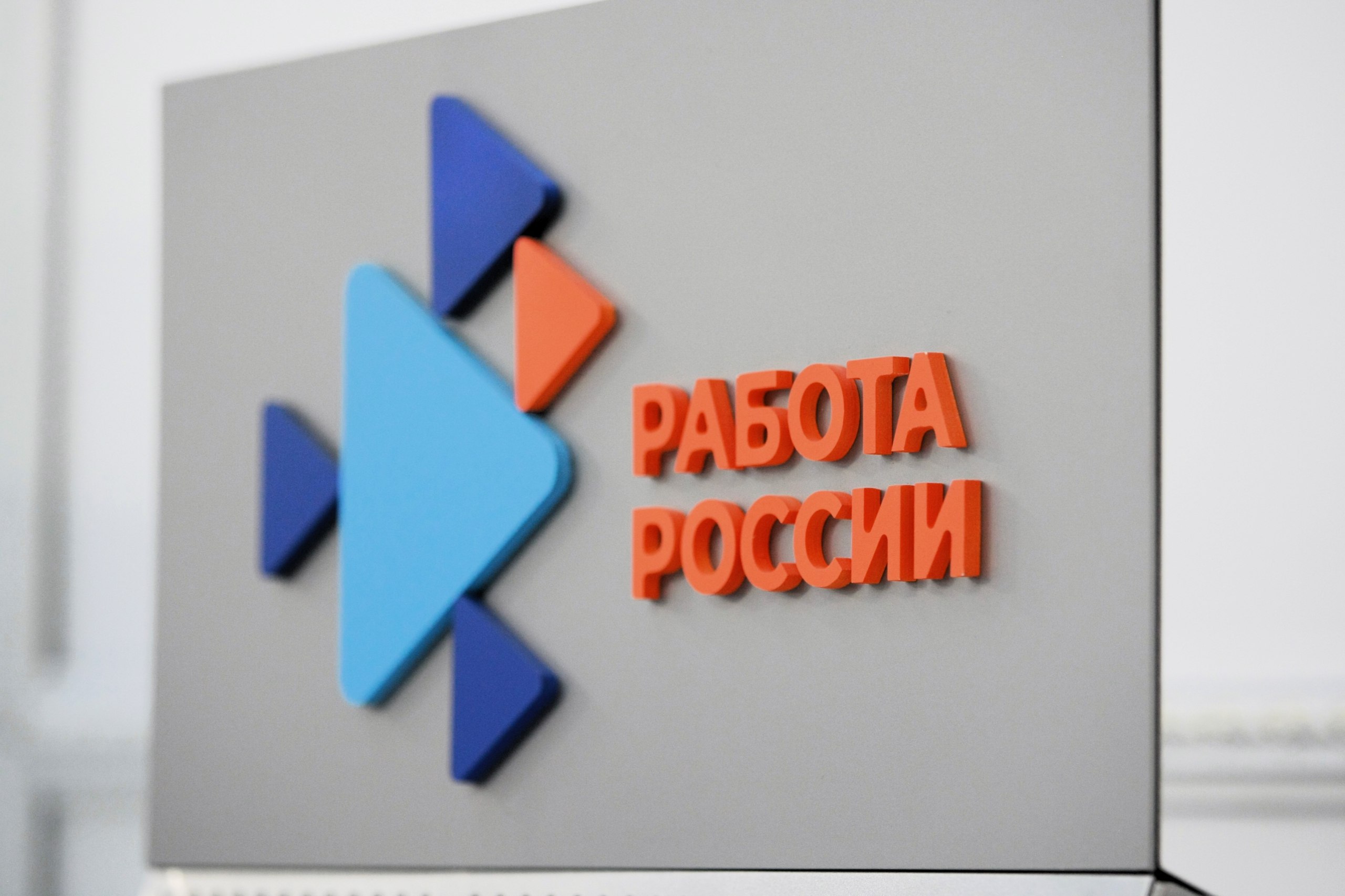 8,7 тыс. подростков трудоустроили в этом году на Сахалине при содействии Кадровых центров