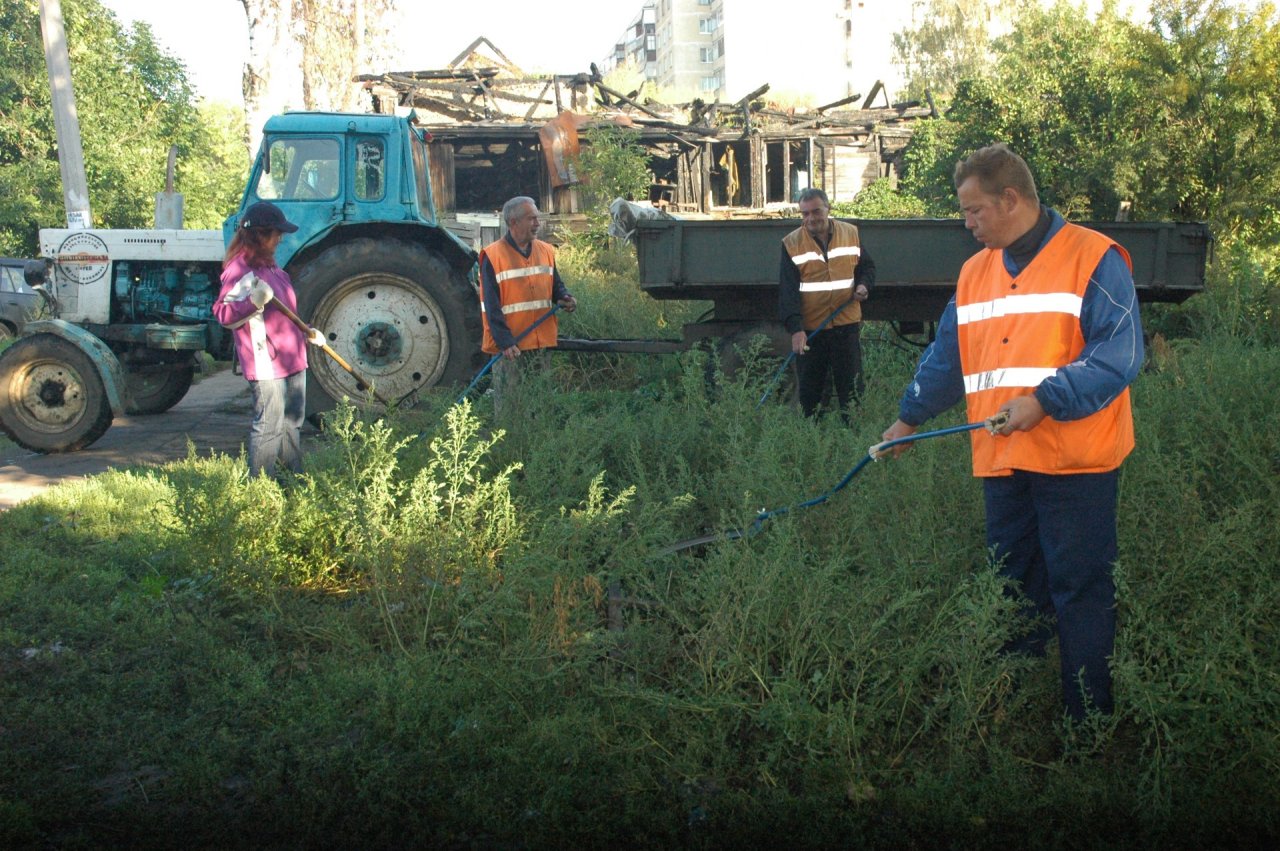 Более 100 орловцев с начала года подали заявки на участие в оплачиваемых общественных работах